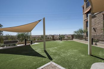 Fenced dog park